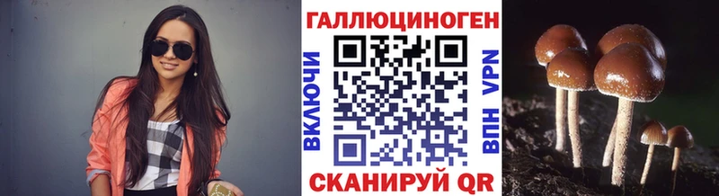 купить наркоту Белая Калитва Псилоцибиновые грибы Magic Shrooms